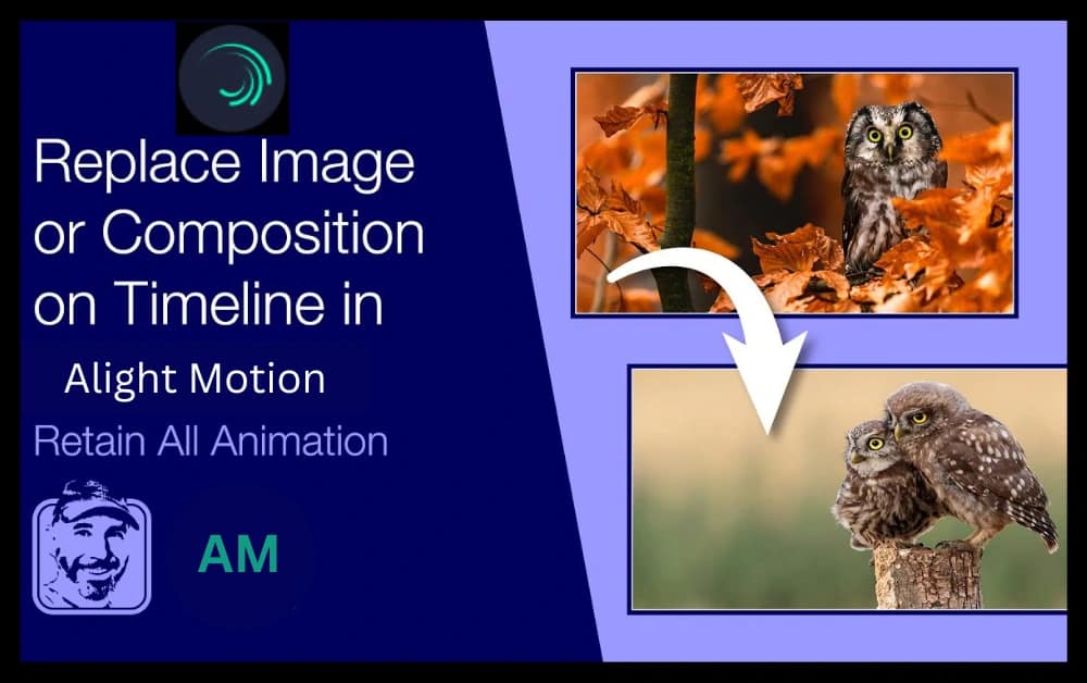 Replace Images in Alight Motion